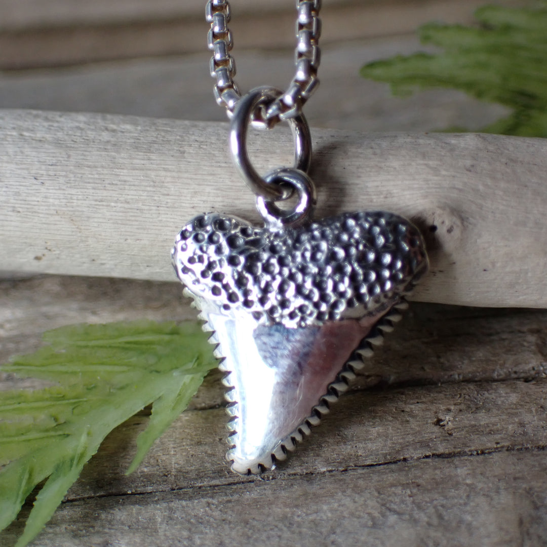 ♻️ Recycled Sterling Silver Shark Tooth Charm Necklace