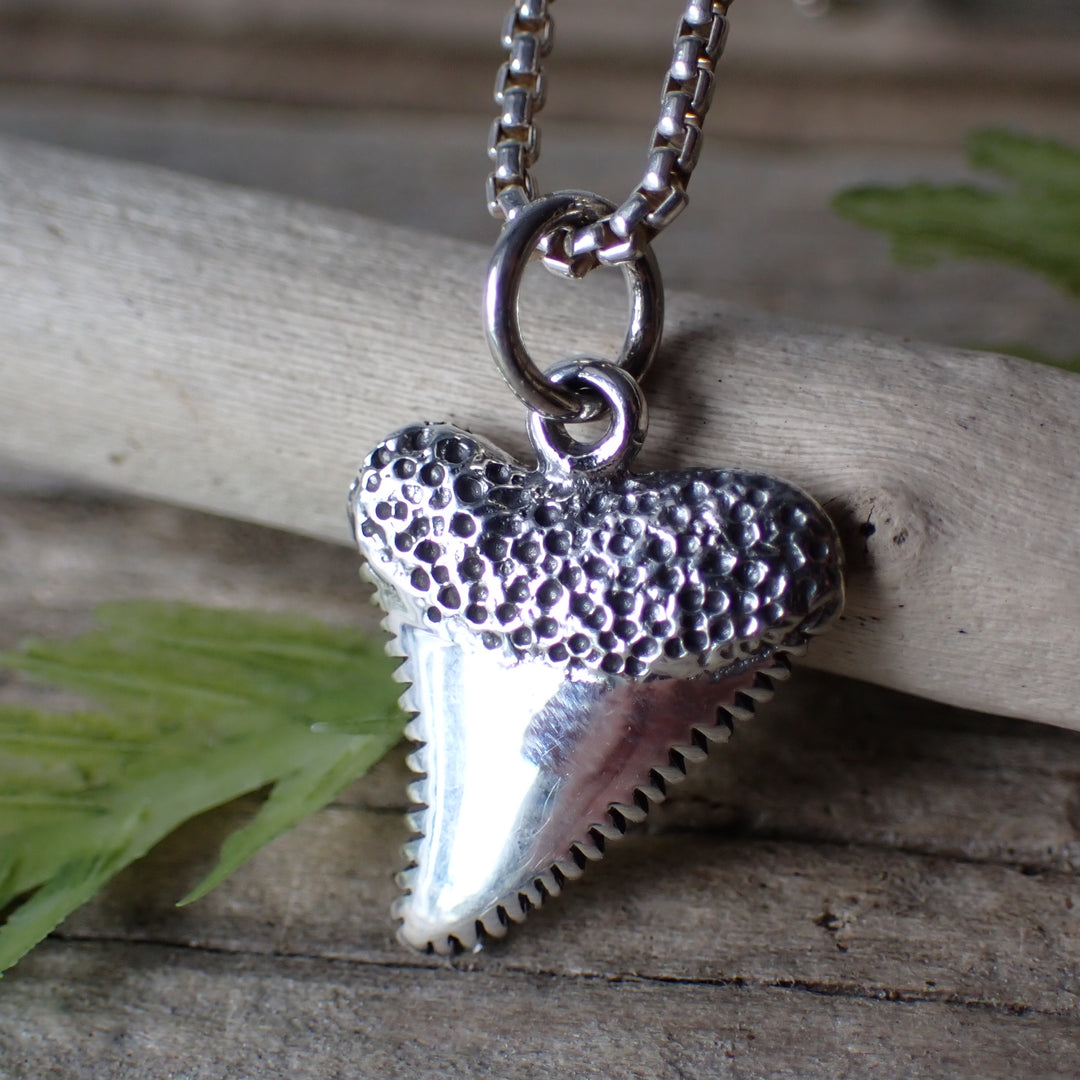 ♻️ Recycled Sterling Silver Shark Tooth Charm Necklace