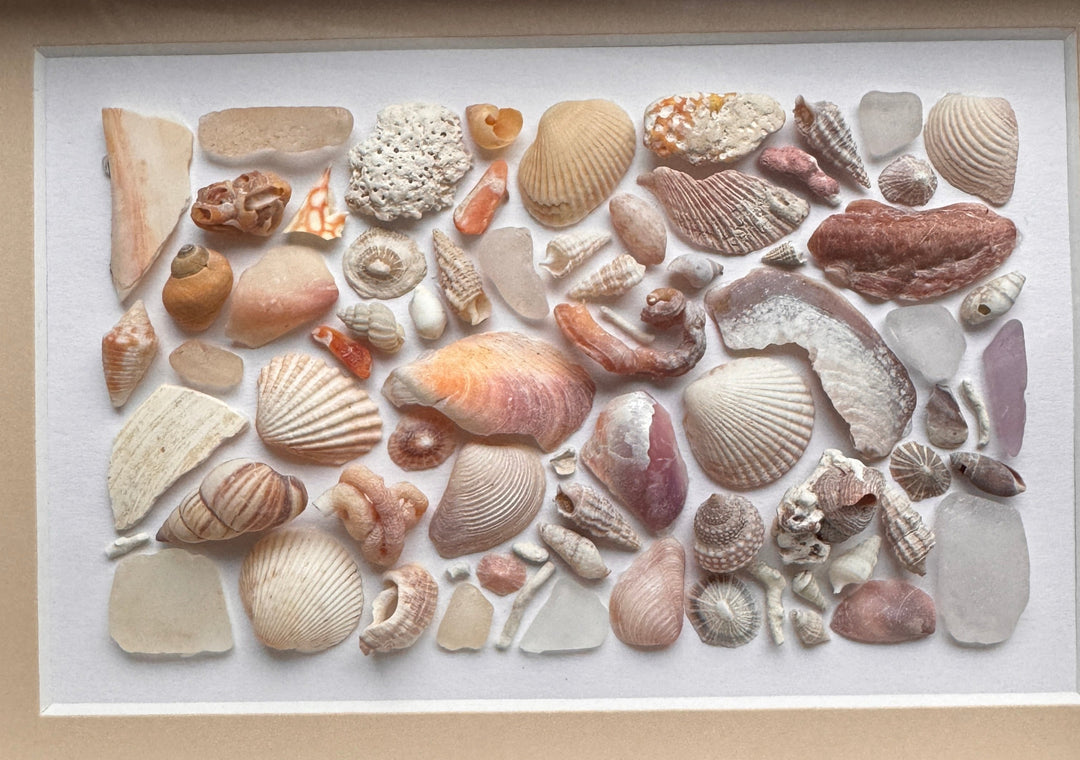 Ombre de verre de mer, corail, coquillages et poterie Mosaïque Image Mixed Media Art