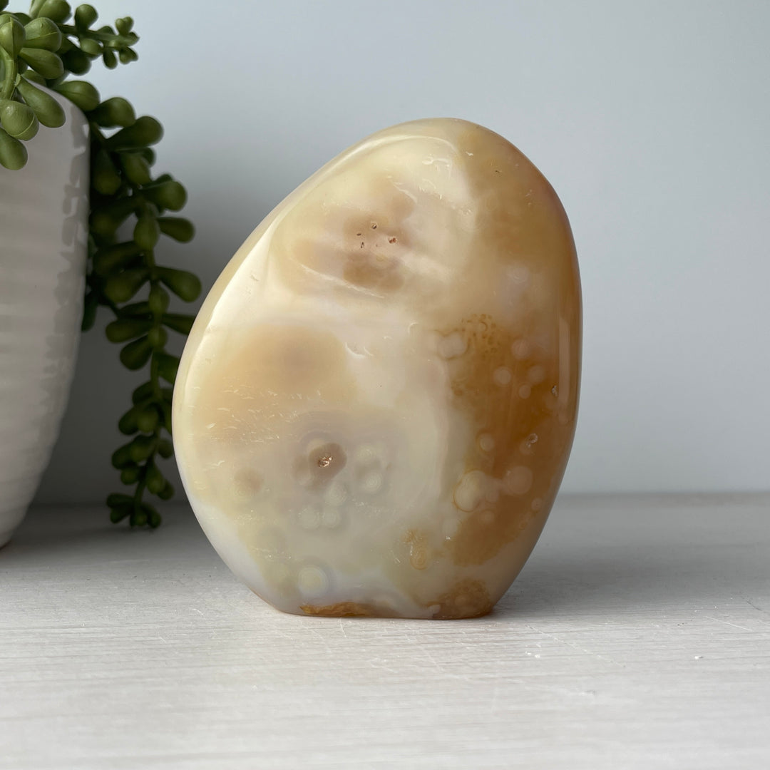Dendritic Agate Free Form