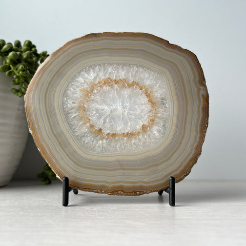 Agate Geode Slice on Stand