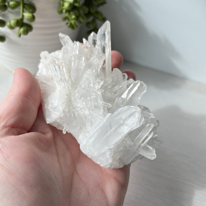 Clear Quartz Crystal Cluster with Graphite