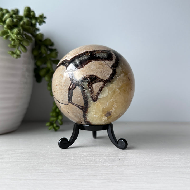 Septarian Sphere on Cute Stand