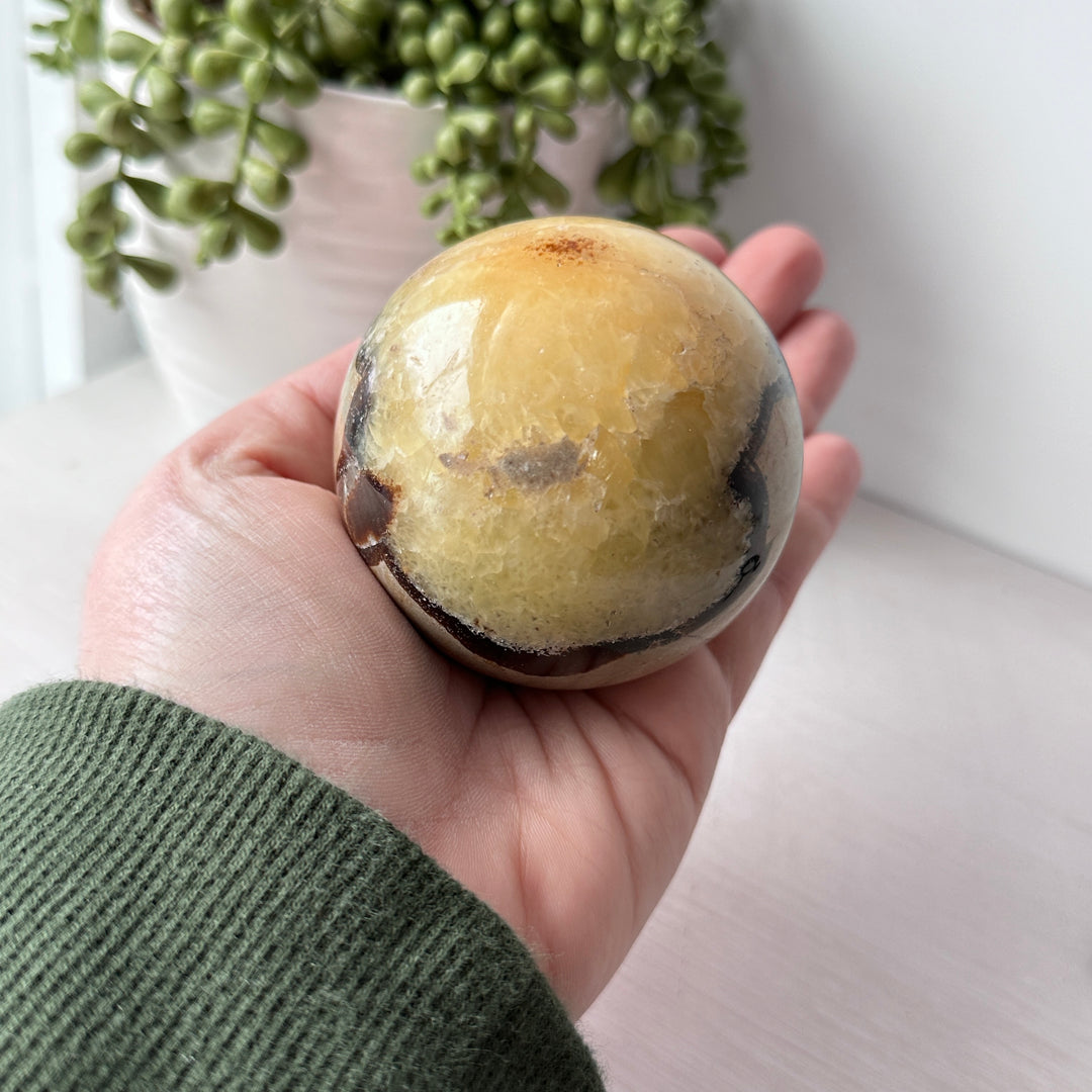 Septarian Sphere on Cute Stand