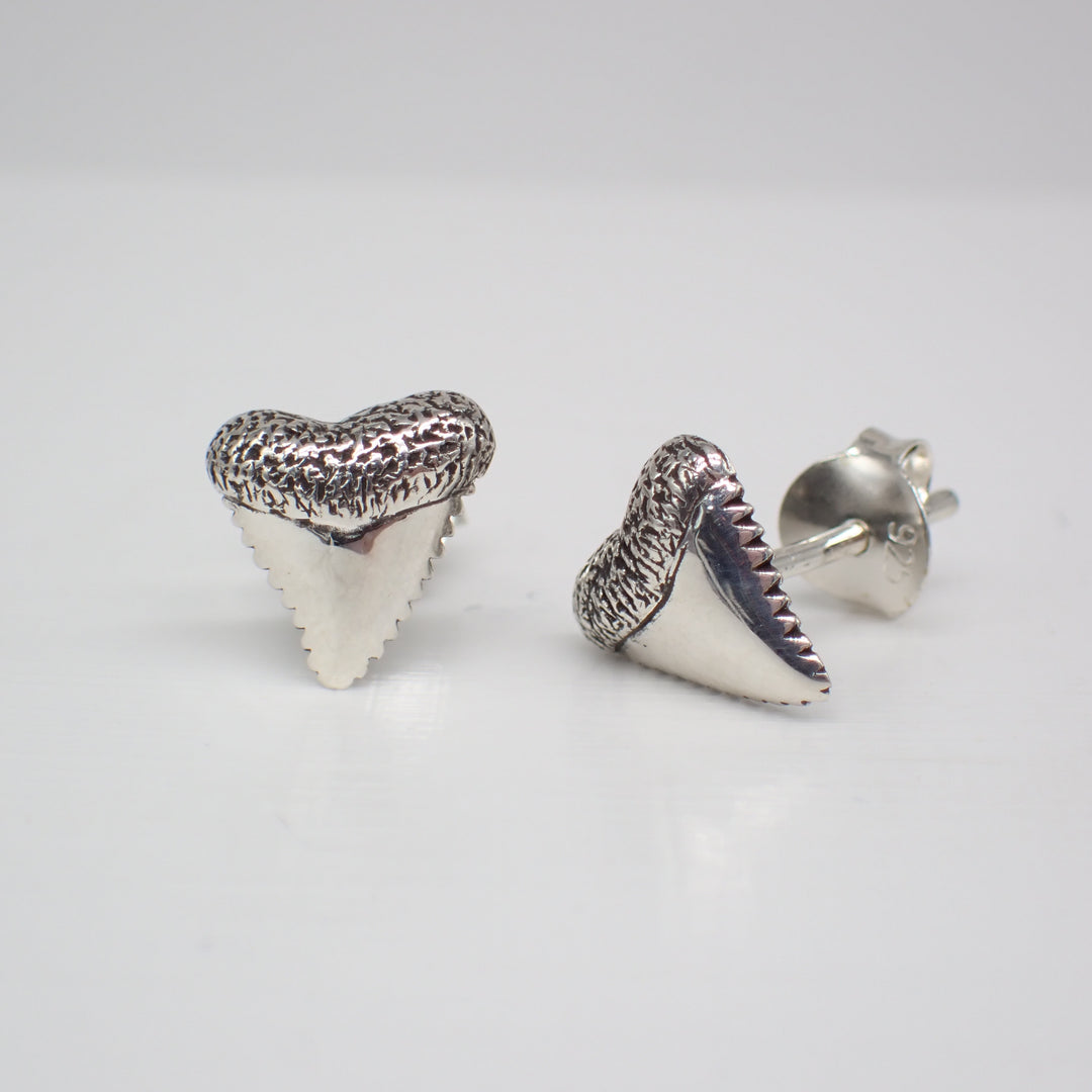 ♻️ Recycled Sterling Silver Shark Tooth Stud Earrings