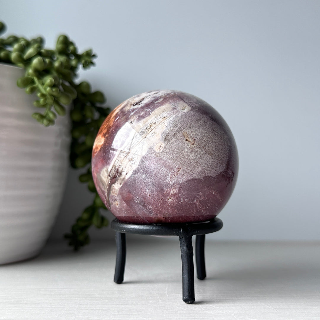 Petrified Wood Sphere on Metal Stand