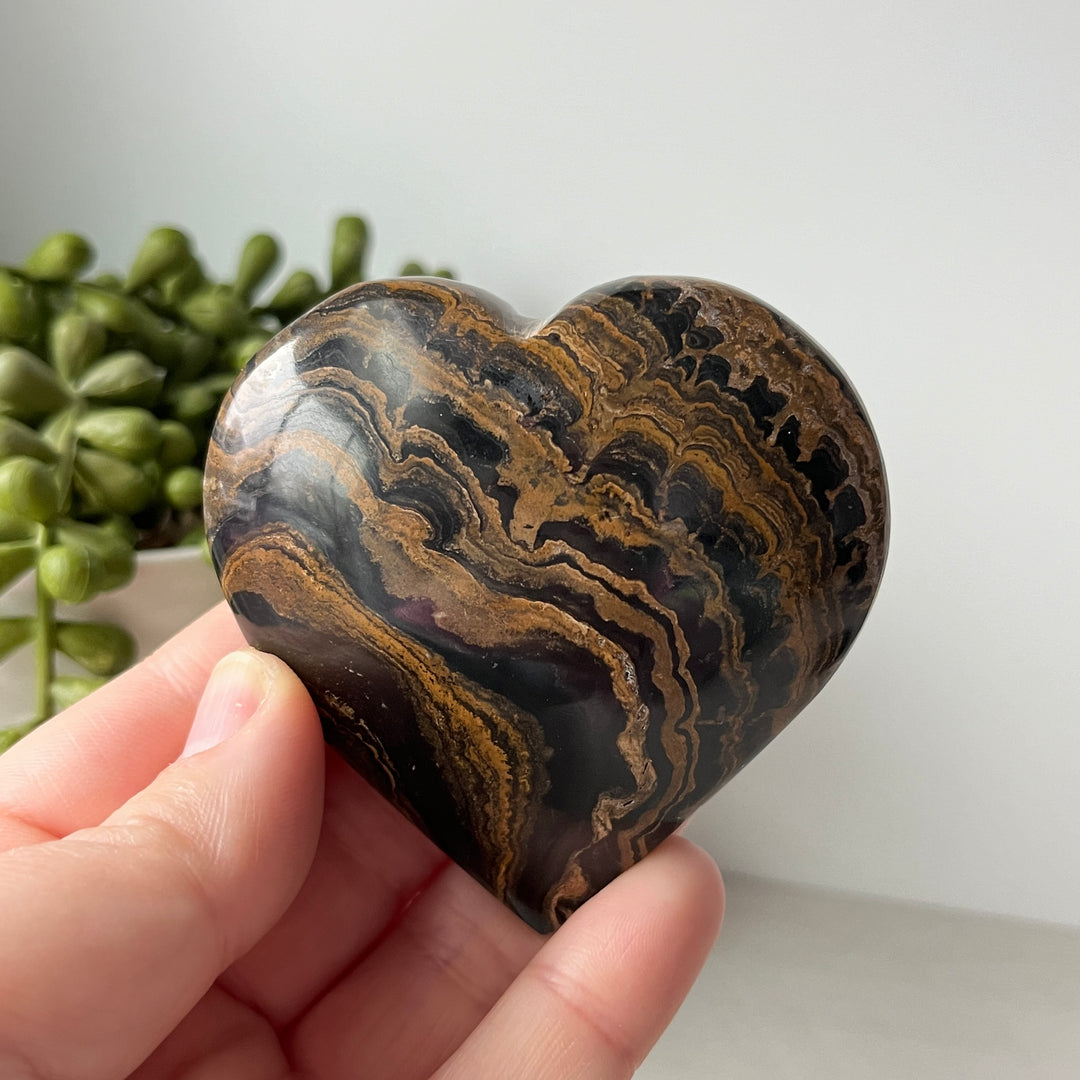 Coeur de stromatolite