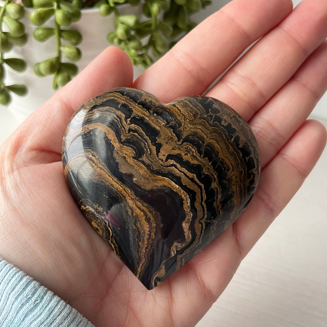 Coeur de stromatolite
