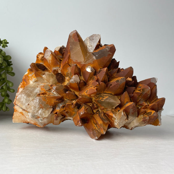 Dog Tooth Honey Calcite Cluster with Iron Deposits
