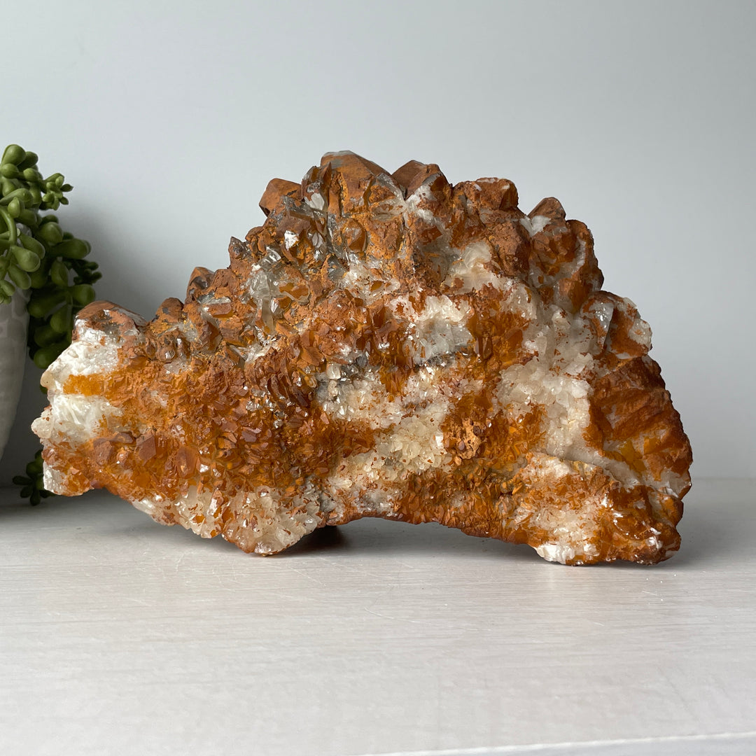 Dog Tooth Honey Calcite Cluster with Iron Deposits