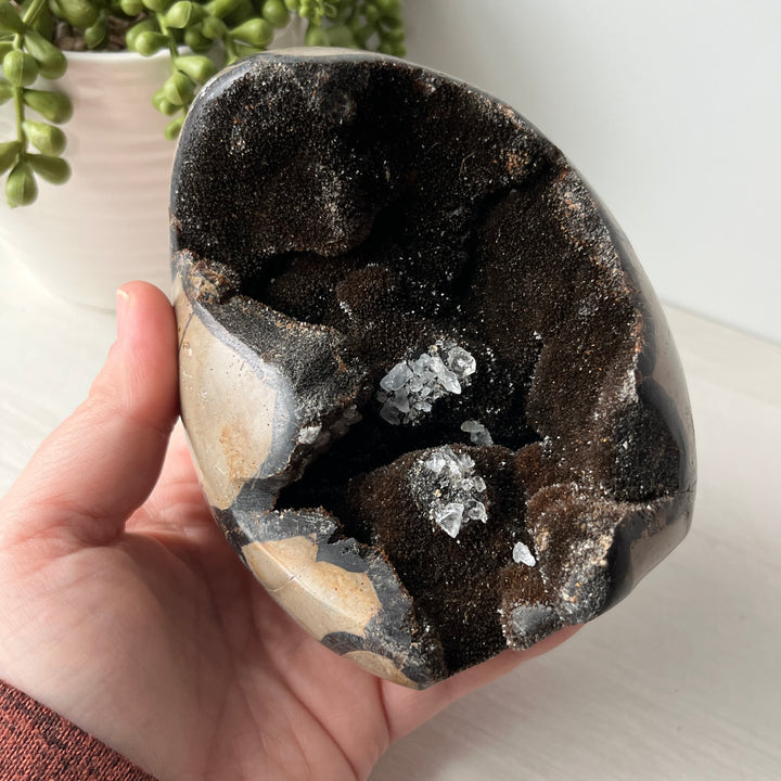 Septarian Nodule Cut Base with Calcite Growth
