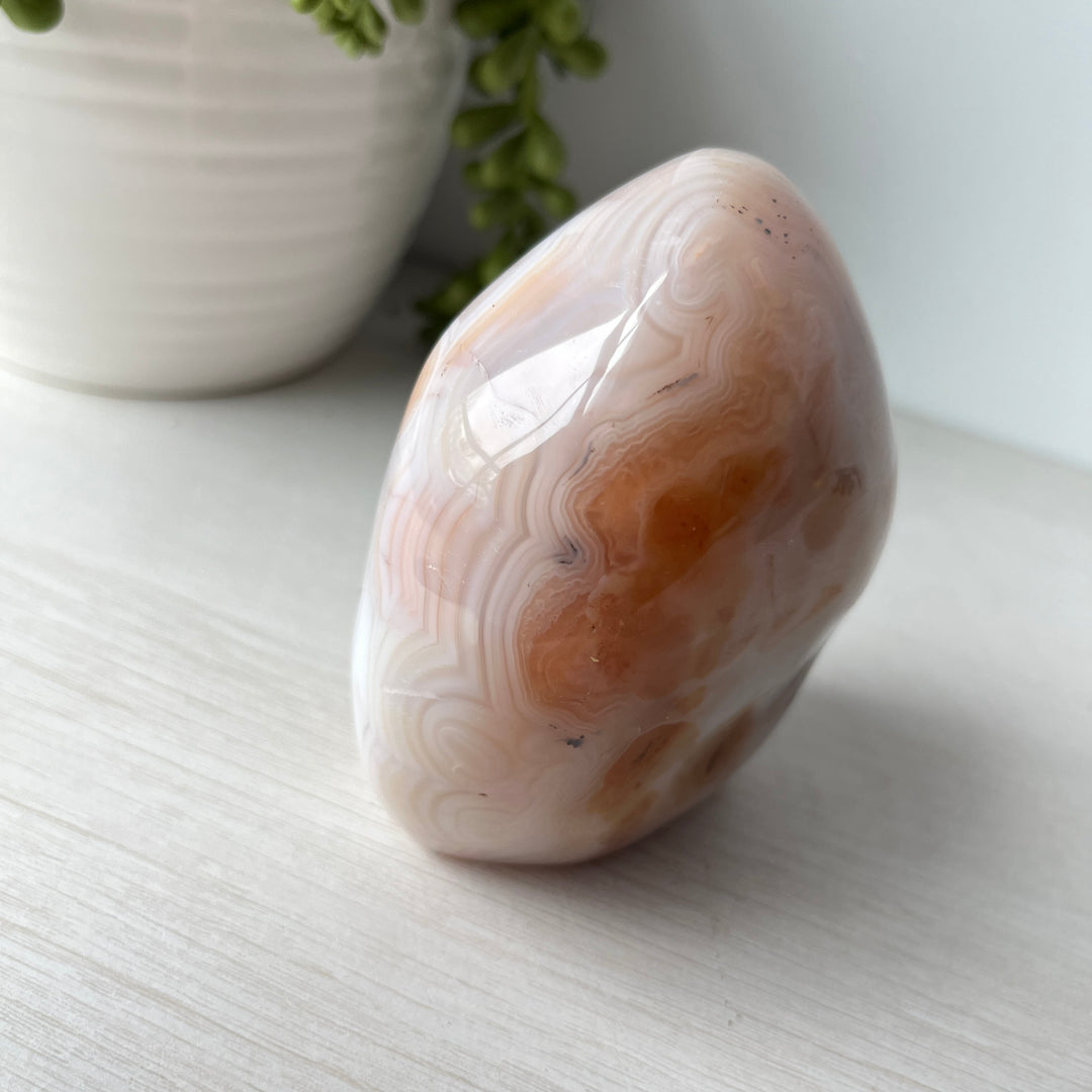 Dendritic Agate Free Form