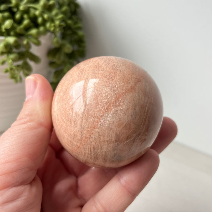 Peach Moonstone Sphere on Cute Stand