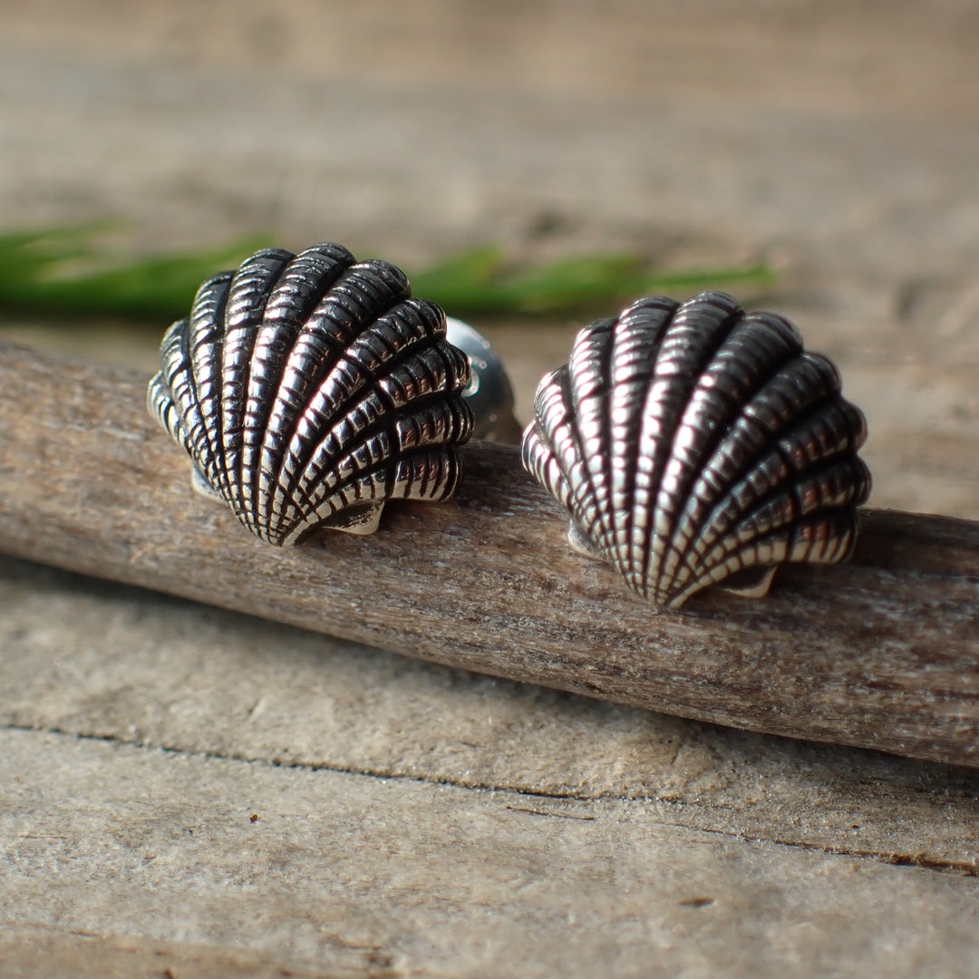 ♻️ Recycled Sterling Silver Shell Stud Earrings