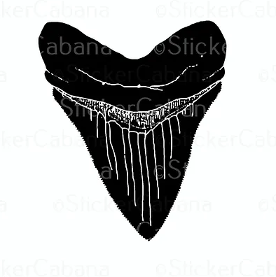 Black Megalodon Shark Tooth Vinyl Sticker waterproof sticker cabana