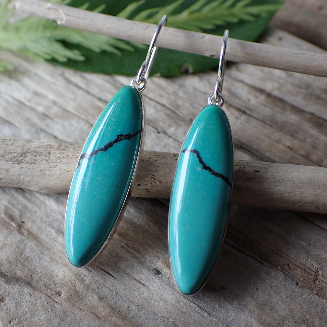 Cloud Mountain Turquoise Sterling Silver Earrings by Cathy Webster