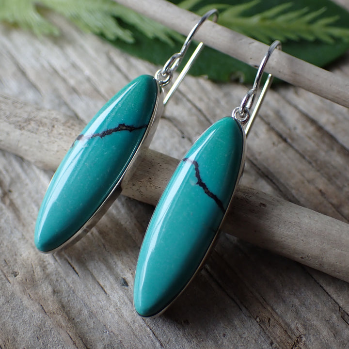 Cloud Mountain Turquoise Sterling Silver Earrings by Cathy Webster