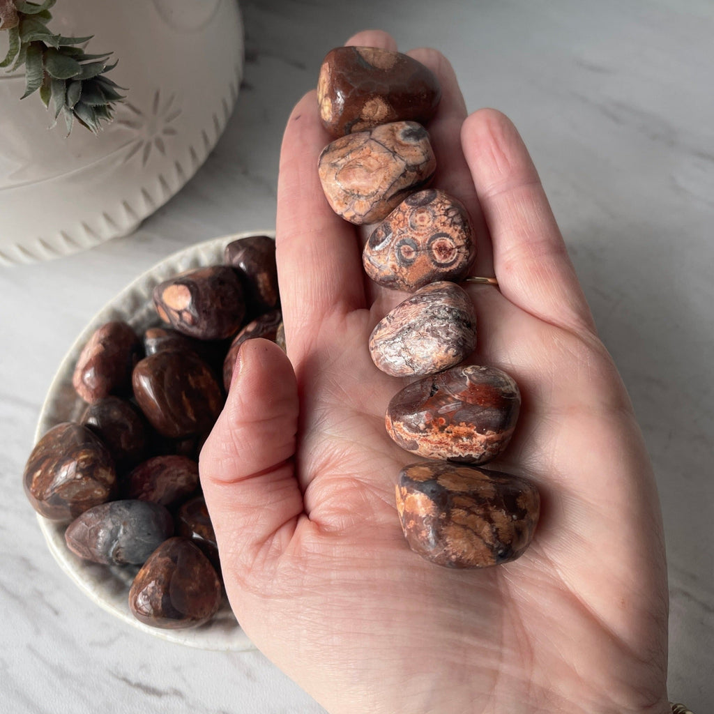 BIRDS EYE JASPER TUMBLED POCKET WORRY STONE CRYSTAL