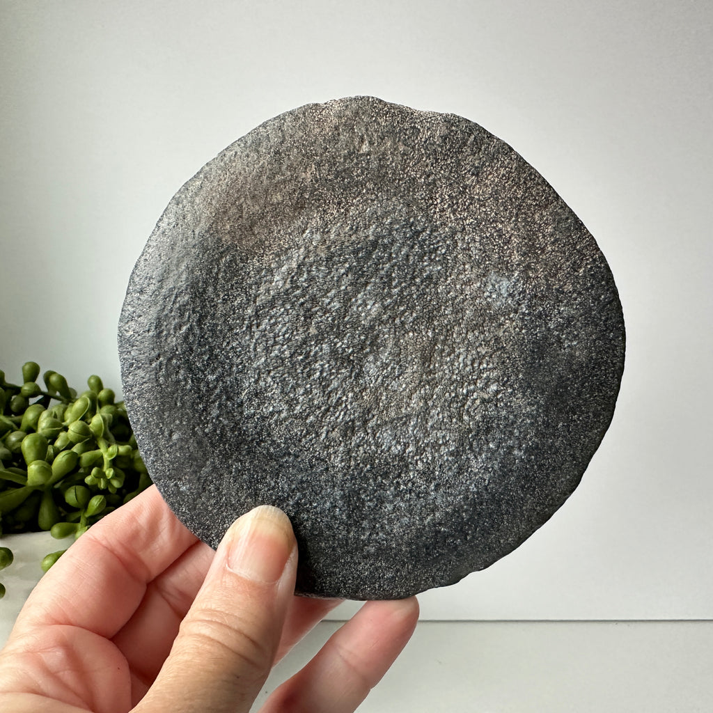 Genuine Large Fossil Prehistoric Whale Intervertebral Disc With Stand