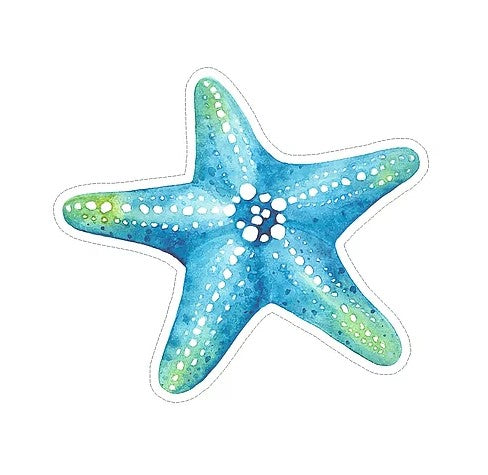 watercolor starfish waterproof vinyl sticker cabana